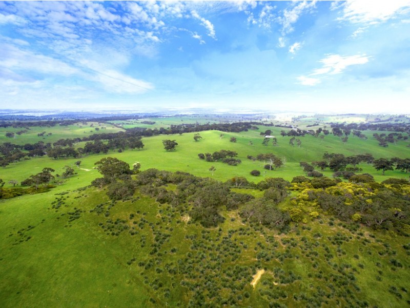 A527 Dog Trap Road, Strathalbyn SA 5255