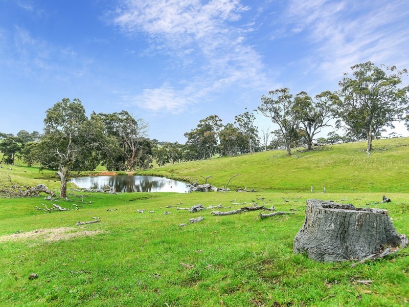 A527 Dog Trap Road, Strathalbyn SA 5255