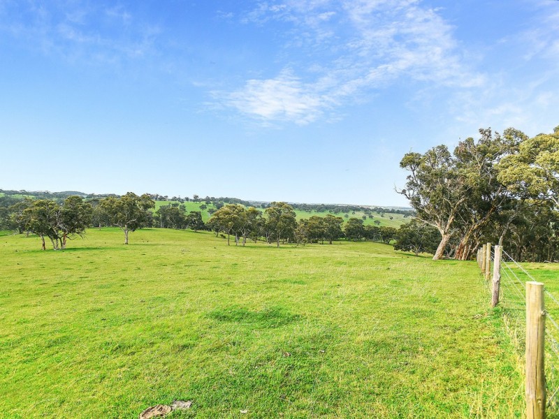 A527 Dog Trap Road, Strathalbyn SA 5255