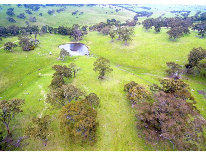 A527 Dog Trap Road, Strathalbyn SA 5255