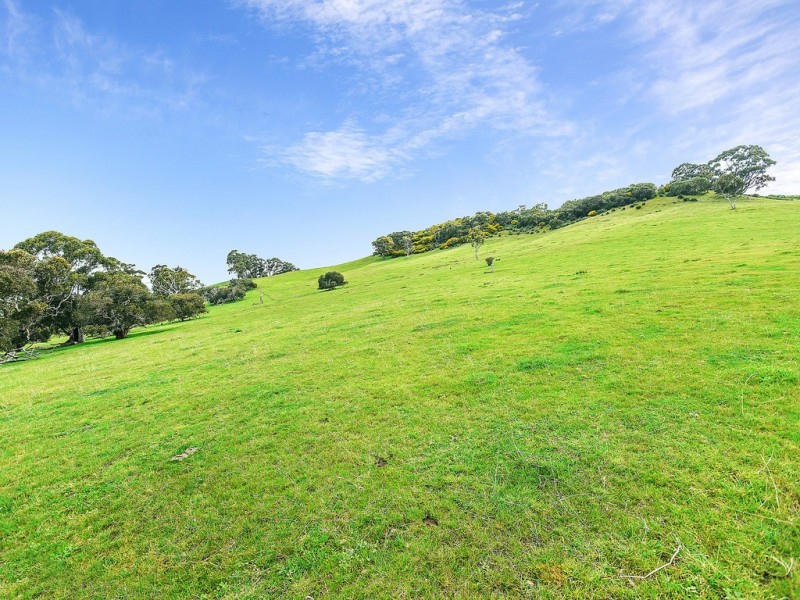 A527 Dog Trap Road, Strathalbyn SA 5255