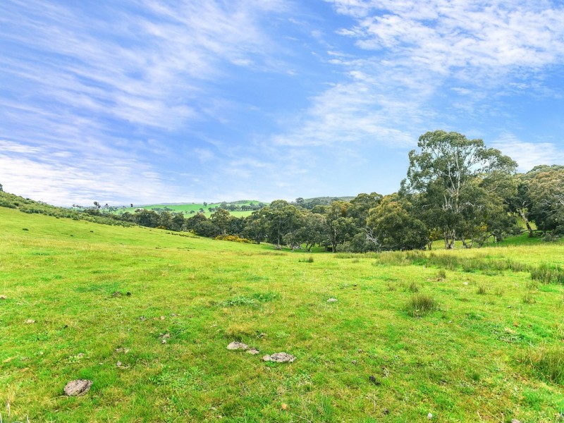 A527 Dog Trap Road, Strathalbyn SA 5255