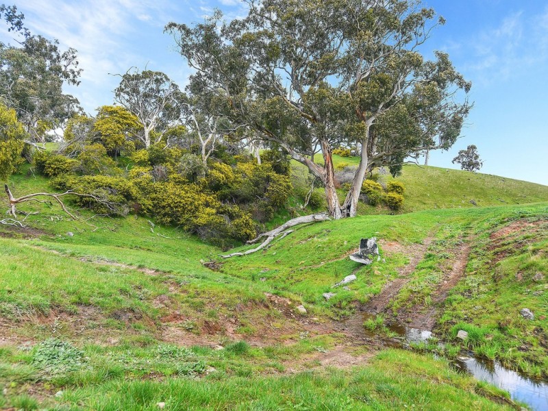 A3 Blackmore Road, Strathalbyn SA 5255