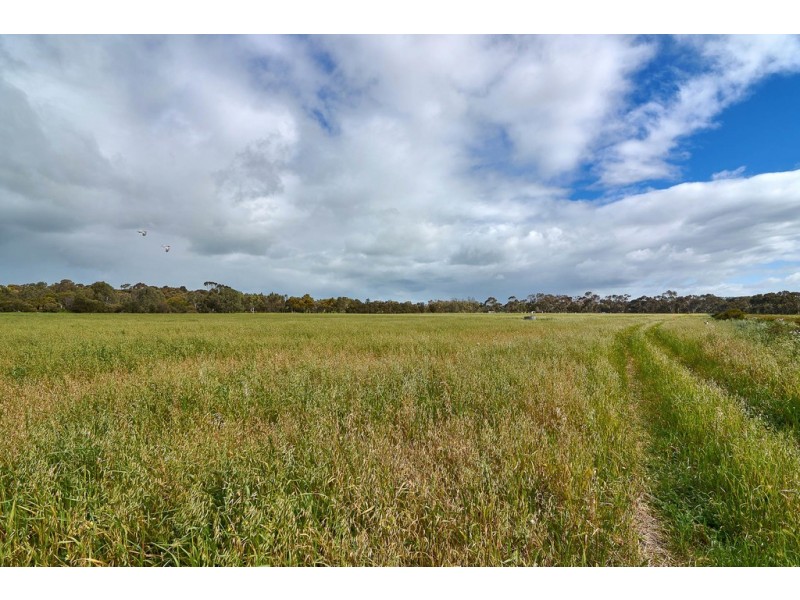 31 (A61) Swamp Road, Strathalbyn SA 5255