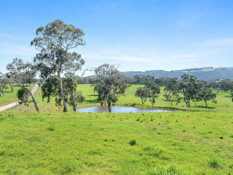 958 Greenhills Road, Hindmarsh Valley SA 5211