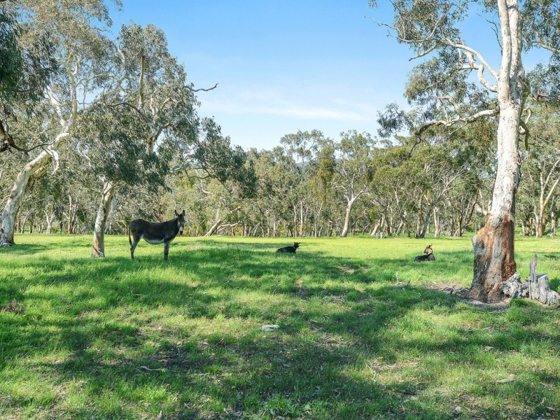 958 Greenhills Road, Hindmarsh Valley SA 5211