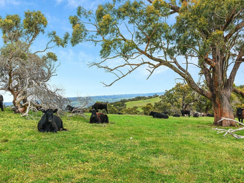 691 Springmount Road, Inman Valley SA 5211