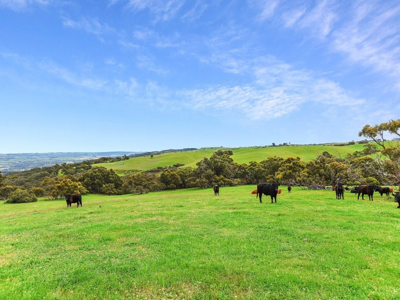 691 Springmount Road, Inman Valley SA 5211