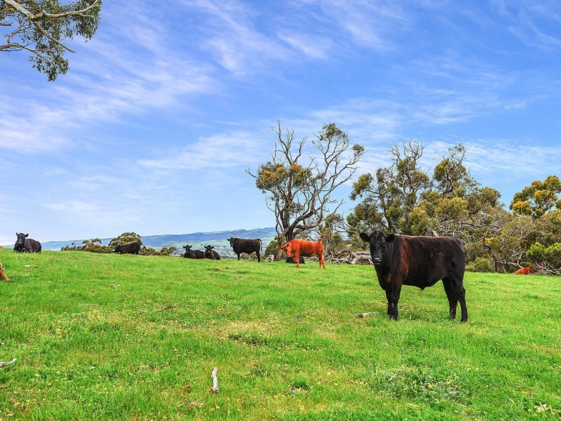 691 Springmount Road, Inman Valley SA 5211