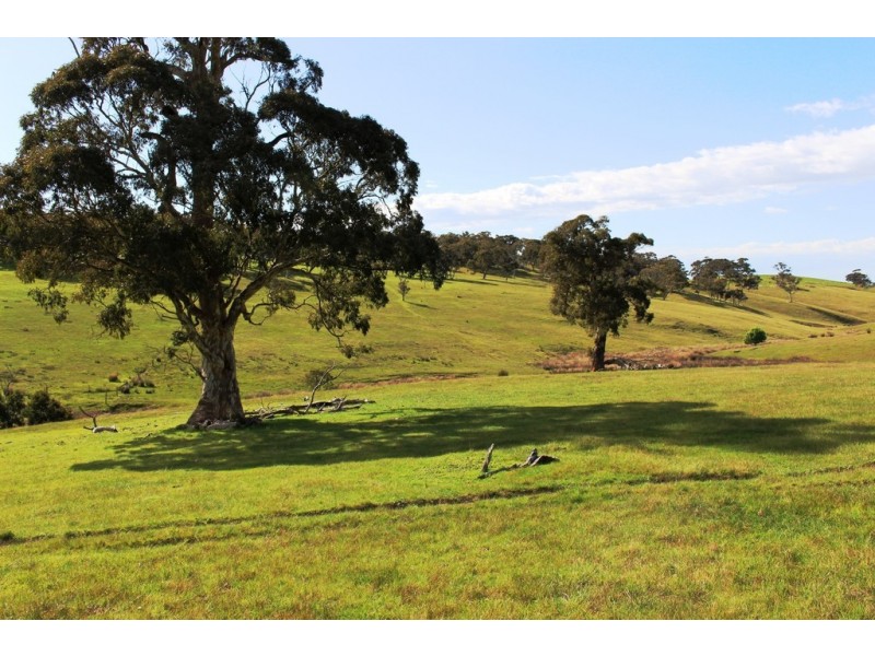 Lot 1 Blackmore Road, Strathalbyn SA 5255