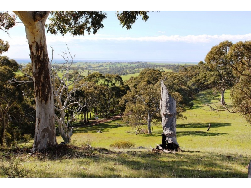 Lot 1 Blackmore Road, Strathalbyn SA 5255