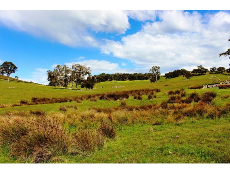 Lot 1 Blackmore Road, Strathalbyn SA 5255