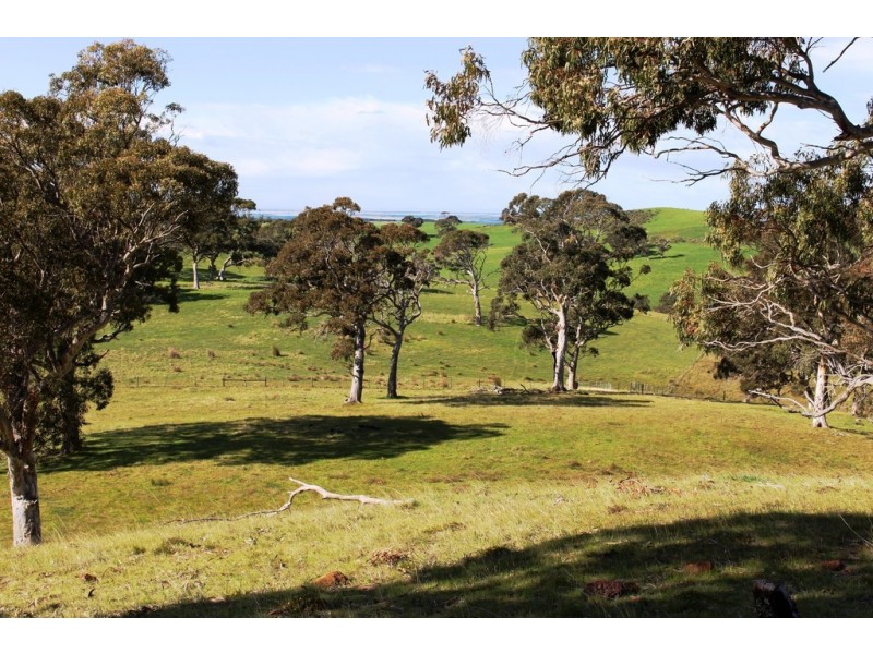 Lot 1 Blackmore Road, Strathalbyn SA 5255