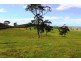 Lot 1 Blackmore Road, Strathalbyn SA 5255