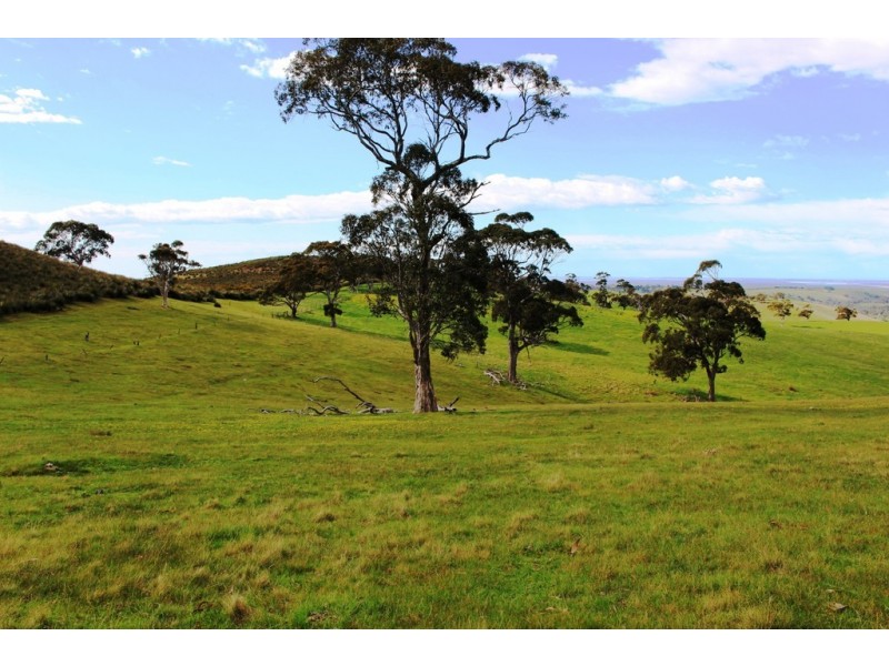 Lot 1 Blackmore Road, Strathalbyn SA 5255