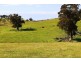 Lot 1 Blackmore Road, Strathalbyn SA 5255