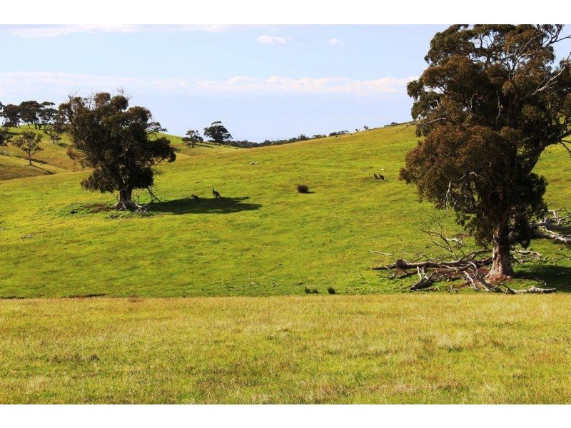 Lot 1 Blackmore Road, Strathalbyn SA 5255