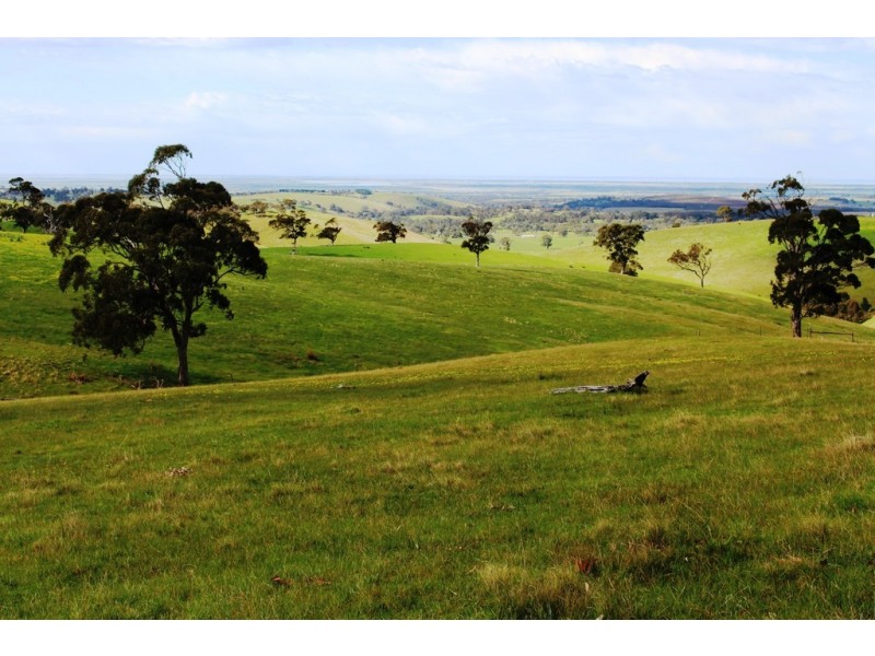 Lot 1 Blackmore Road, Strathalbyn SA 5255