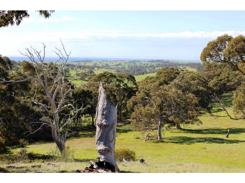 Lot 1 Blackmore Road, Strathalbyn SA 5255