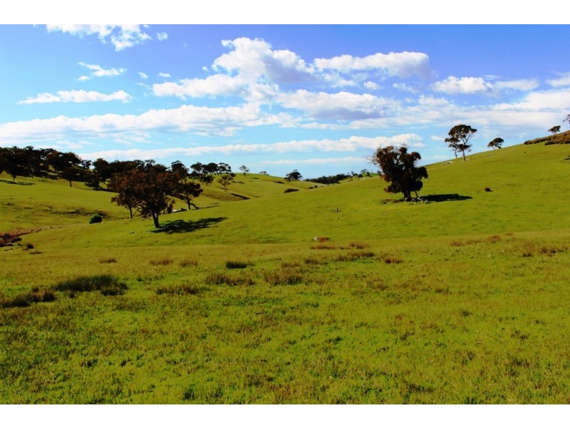 Lot 1 Blackmore Road, Strathalbyn SA 5255