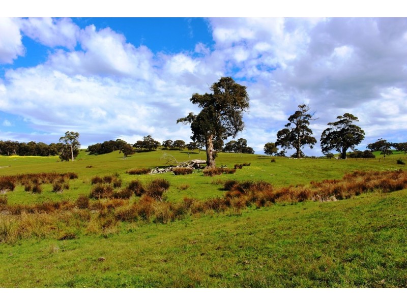 Lot 1 Blackmore Road, Strathalbyn SA 5255