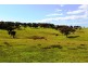 Lot 1 Blackmore Road, Strathalbyn SA 5255