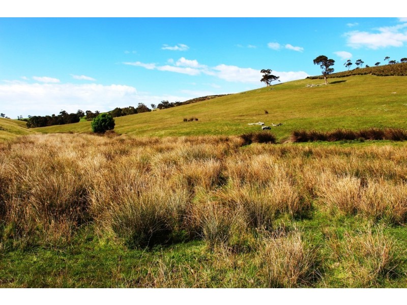 Lot 1 Blackmore Road, Strathalbyn SA 5255