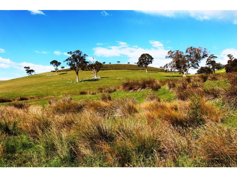 Lot 1 Blackmore Road, Strathalbyn SA 5255