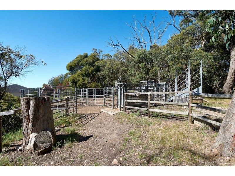 350 Whites Road,, Meadows SA 5201