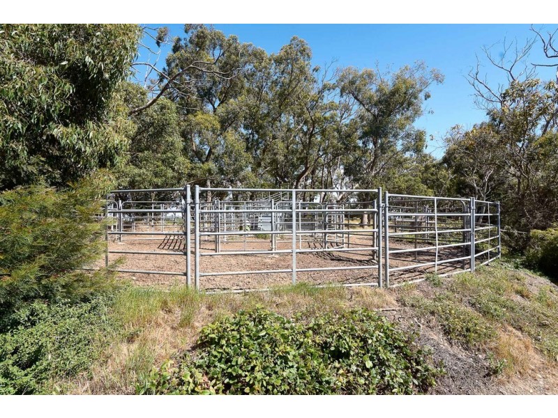 350 Whites Road,, Meadows SA 5201