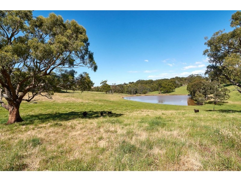 350 Whites Road,, Meadows SA 5201