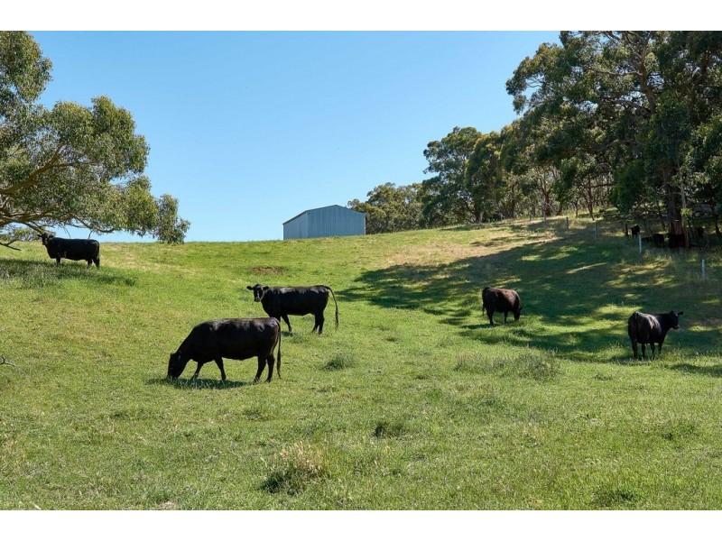 350 Whites Road,, Meadows SA 5201