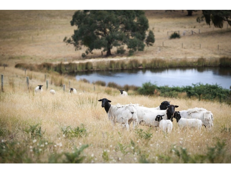 51 McEwin Rd (via Sawpit Rd), Hindmarsh Valley SA 5211