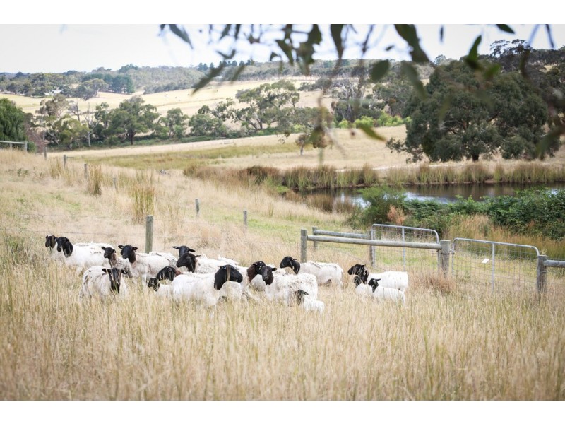 51 McEwin Rd (via Sawpit Rd), Hindmarsh Valley SA 5211