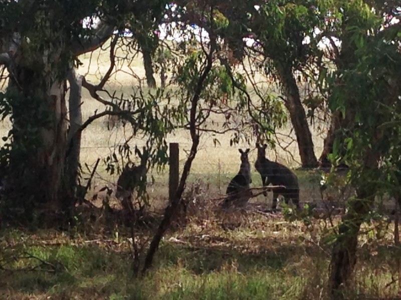 Lot 4 Higgins Road, Port Elliot SA 5212