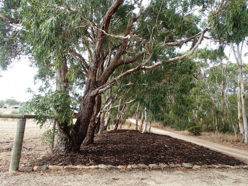 Lot 4 Higgins Road, Port Elliot SA 5212