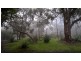 20 ForkTree Road, Myponga SA 5202