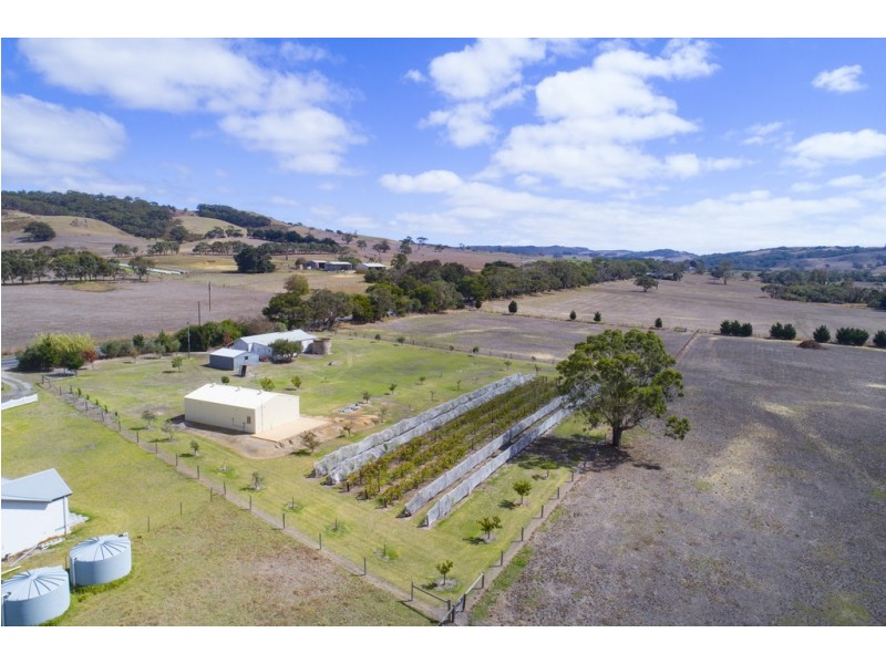 1036 Hindmarsh Tiers Road, Hindmarsh Tiers SA 5202
