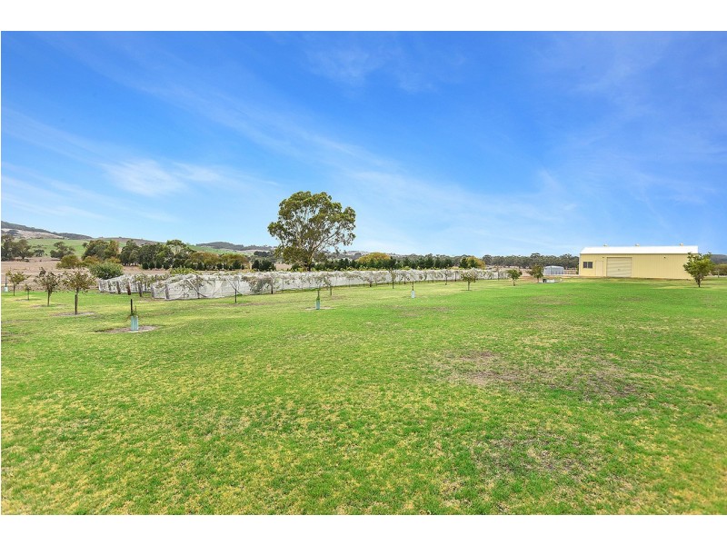 1036 Hindmarsh Tiers Road, Hindmarsh Tiers SA 5202