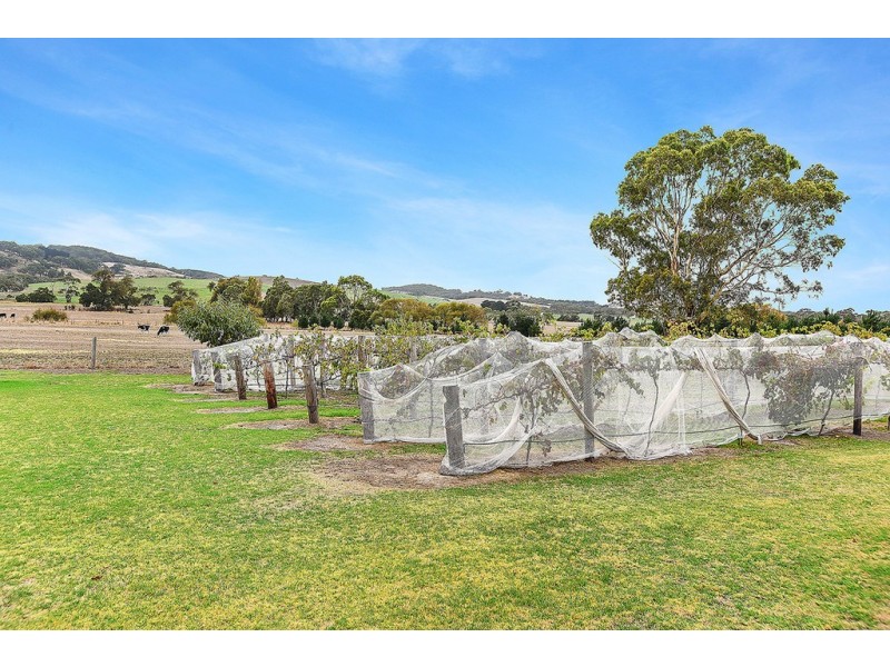 1036 Hindmarsh Tiers Road, Hindmarsh Tiers SA 5202
