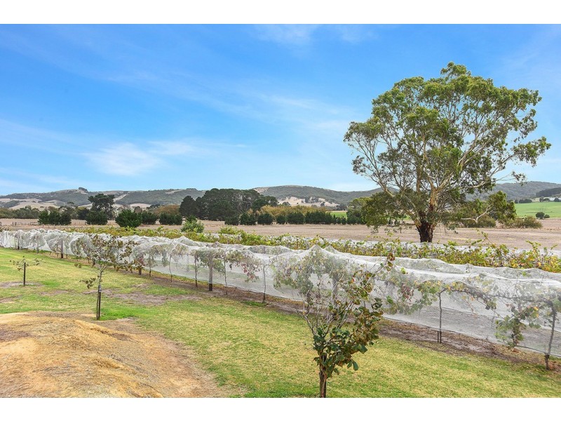1036 Hindmarsh Tiers Road, Hindmarsh Tiers SA 5202