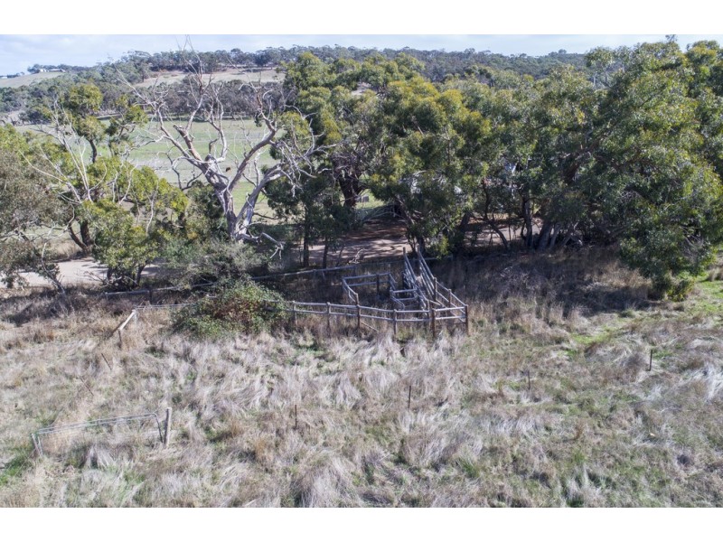 A64 Shadygrove Road, Paris Creek SA 5201