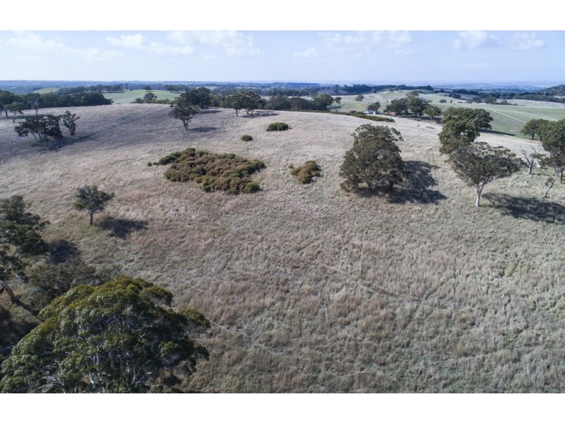 A64 Shadygrove Road, Paris Creek SA 5201