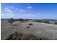 A64 Shadygrove Road, Paris Creek SA 5201