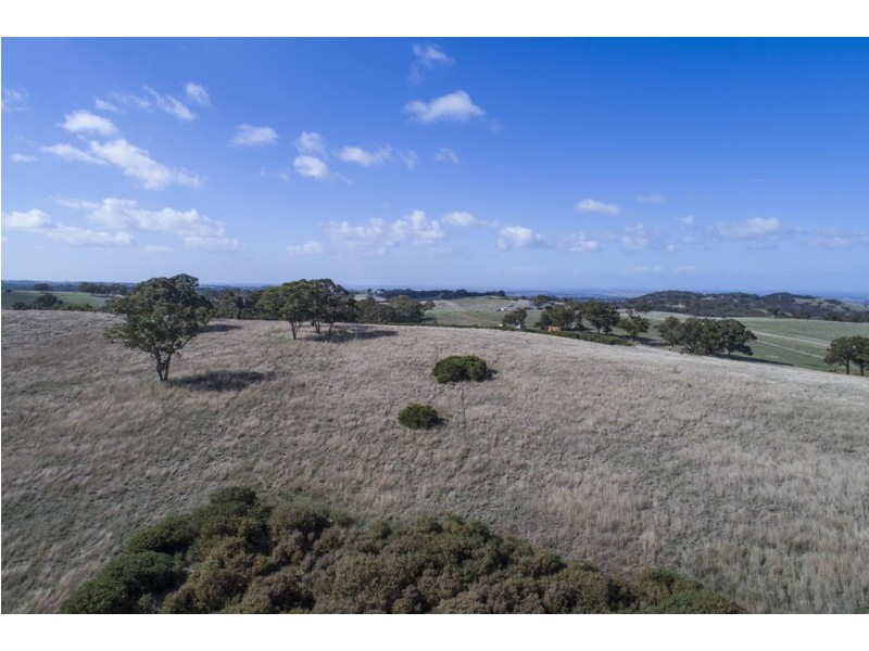 A64 Shadygrove Road, Paris Creek SA 5201