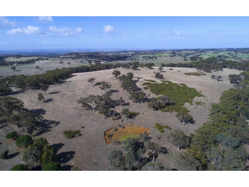 A64 Shadygrove Road, Paris Creek SA 5201