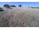 A64 Shadygrove Road, Paris Creek SA 5201