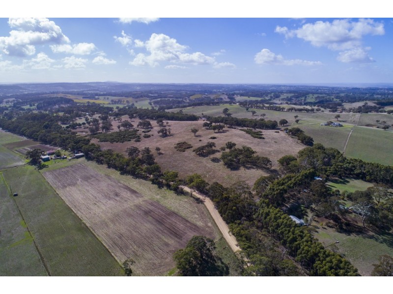 A64 Shadygrove Road, Paris Creek SA 5201