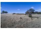 A64 Shadygrove Road, Paris Creek SA 5201