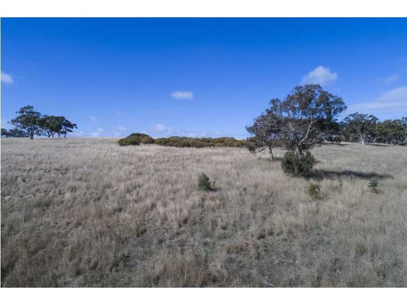 A64 Shadygrove Road, Paris Creek SA 5201